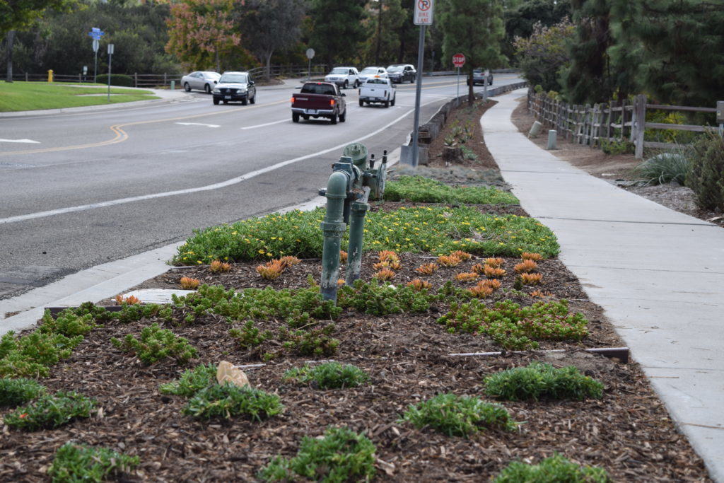 Rice Canyon Demonstration Gardens Chula Vista Open Space Page 2 8629